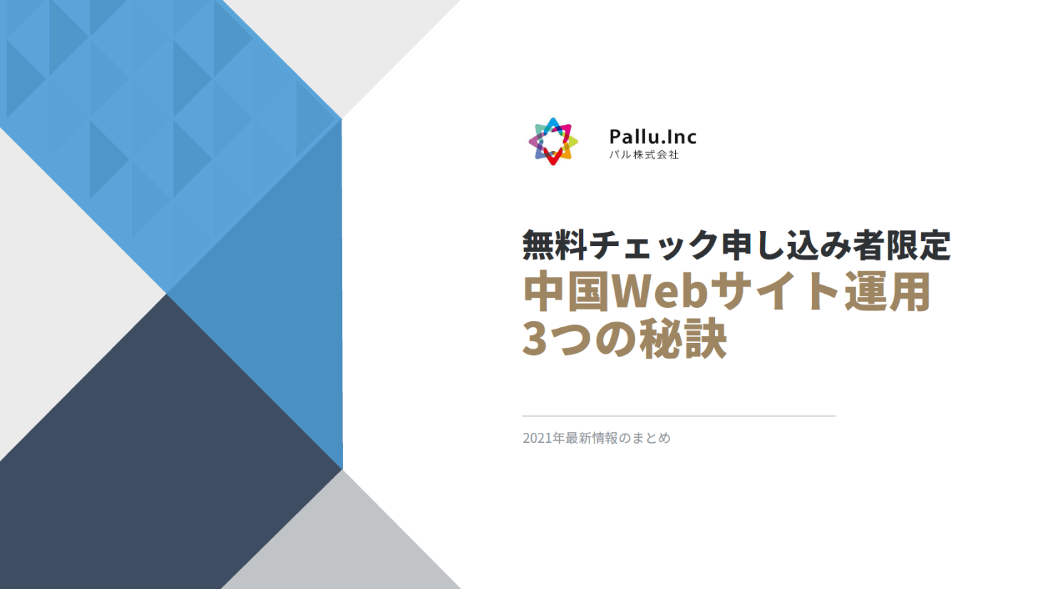 中国語ホームページ Webサイトの無料診断サービス パル株式会社