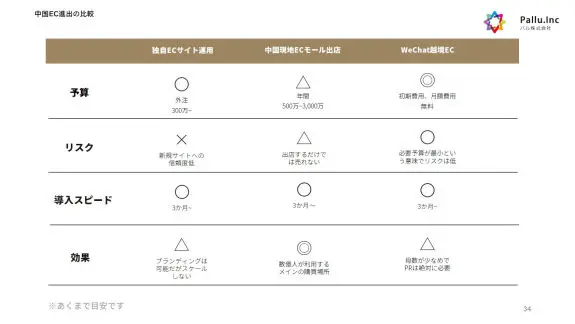 中国越境ECホワイトペーパーサンプル